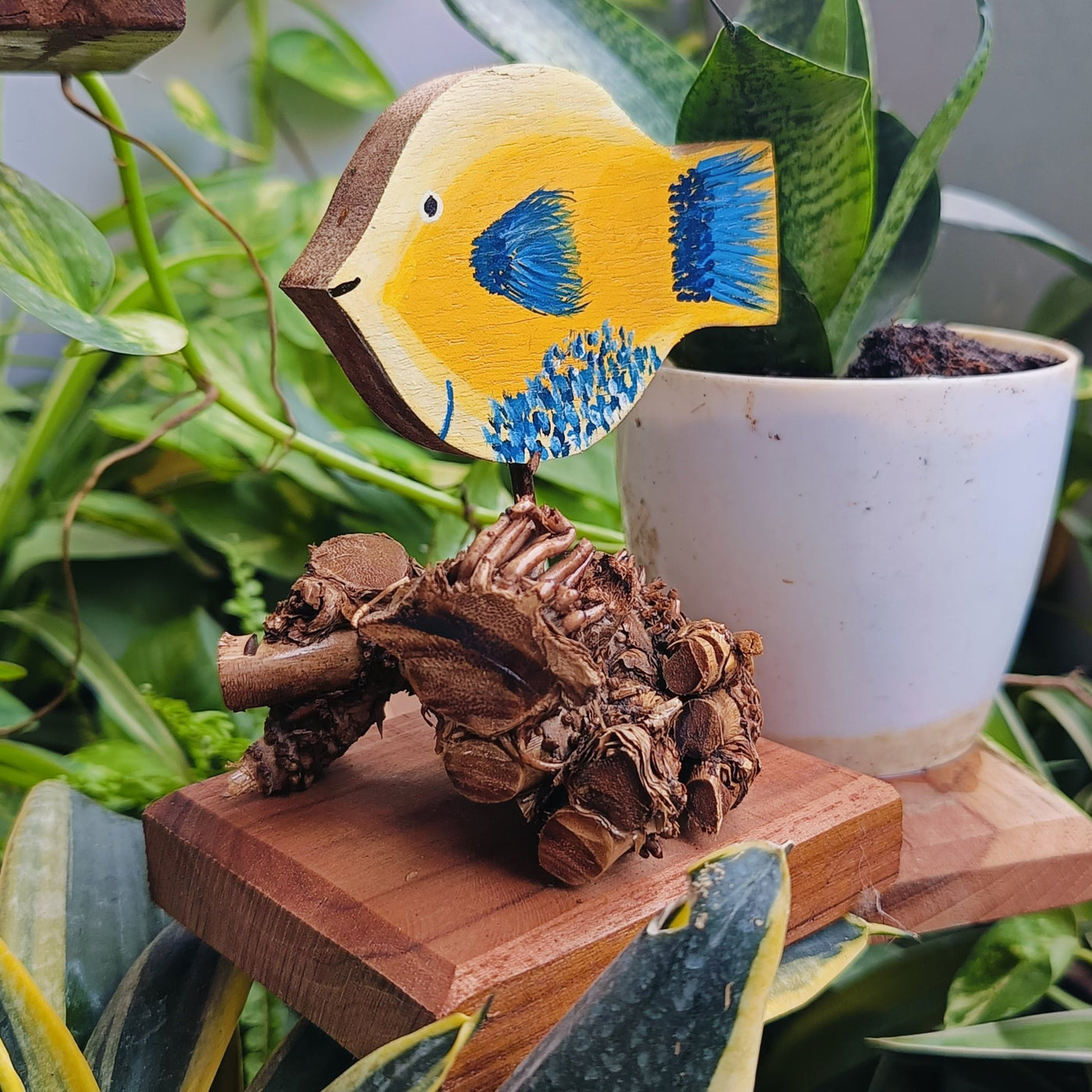 Chinhhari Madai yellow Fish garden decor