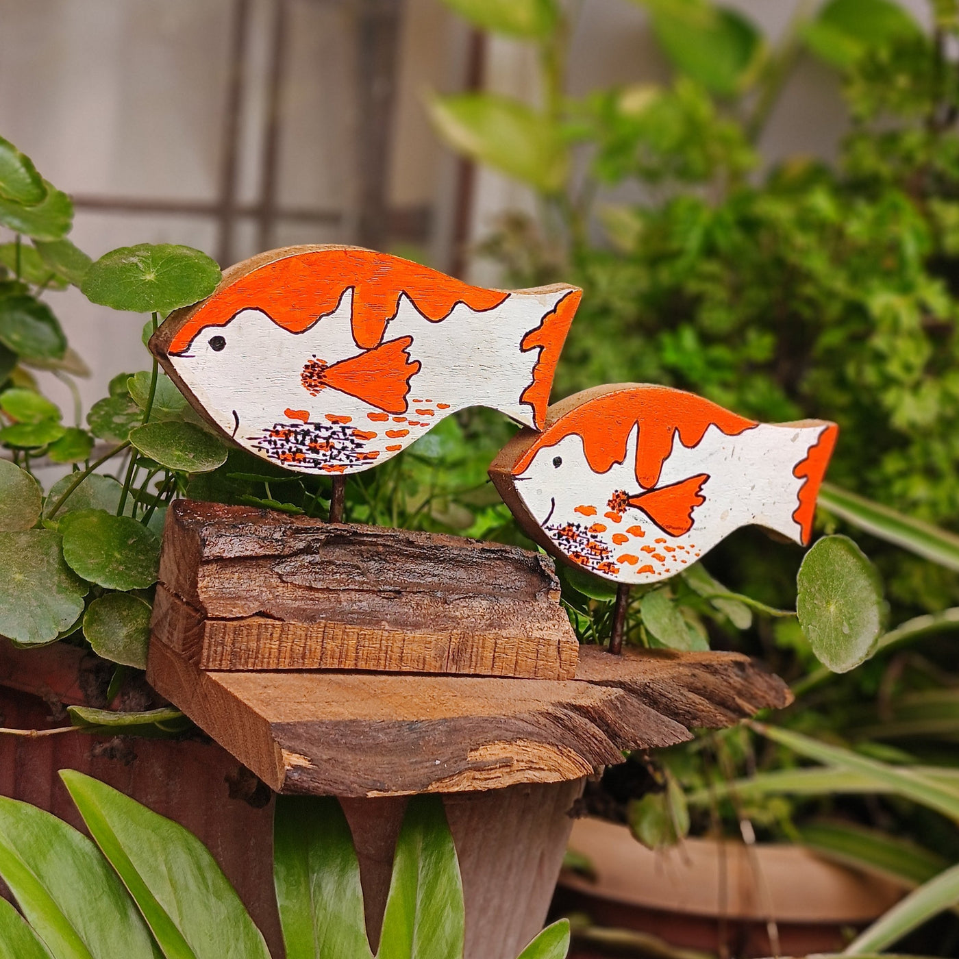 Chinhhari Madai white orange Fish garden decor