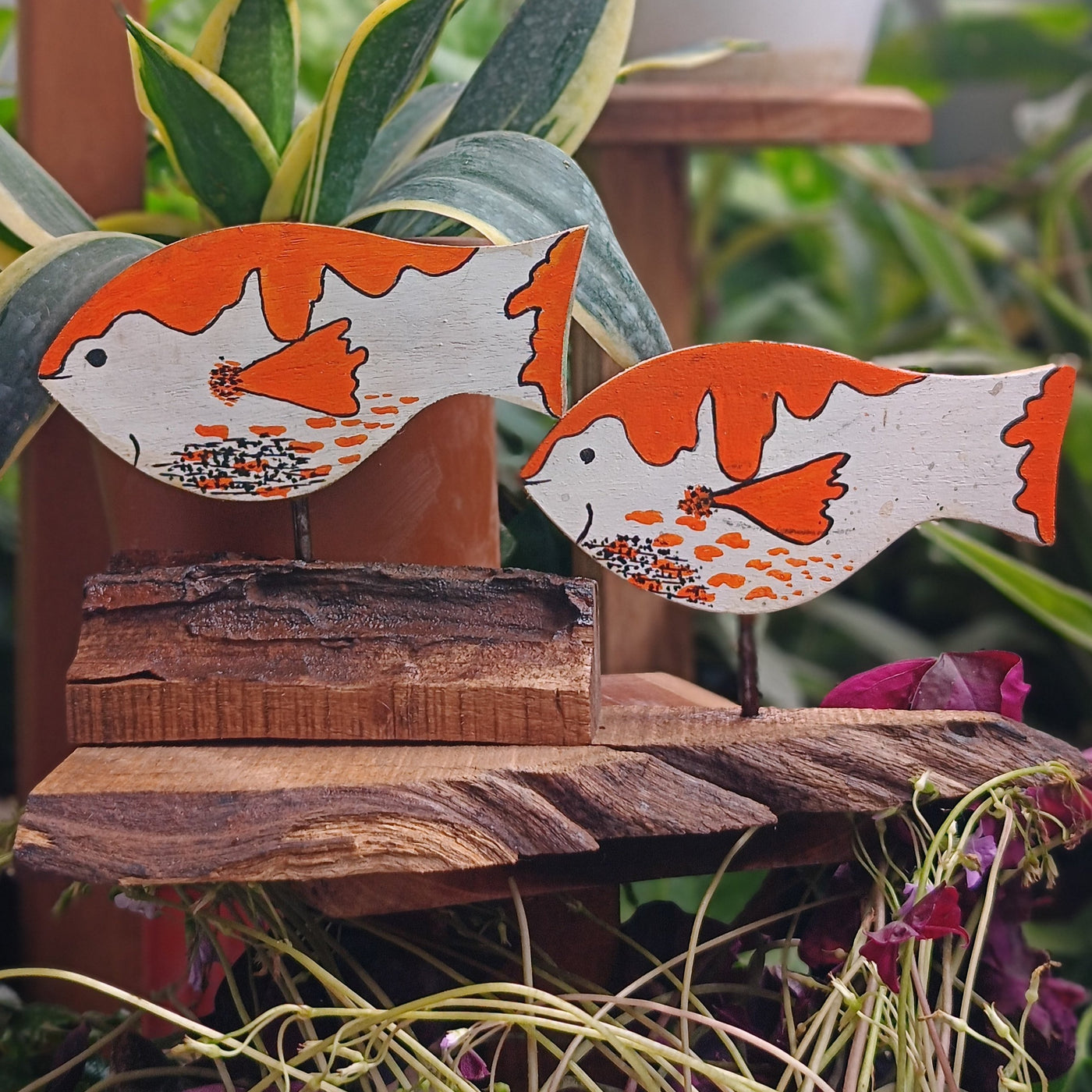 Chinhhari Madai white orange Fish garden decor