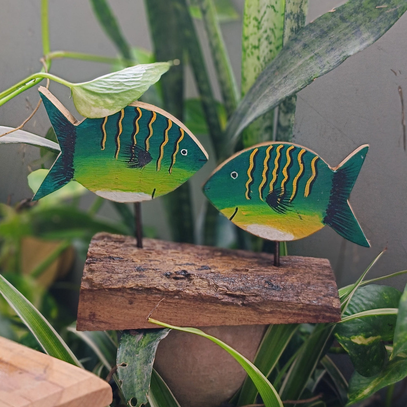 Chinhhari Madai green yellow Fish garden decor