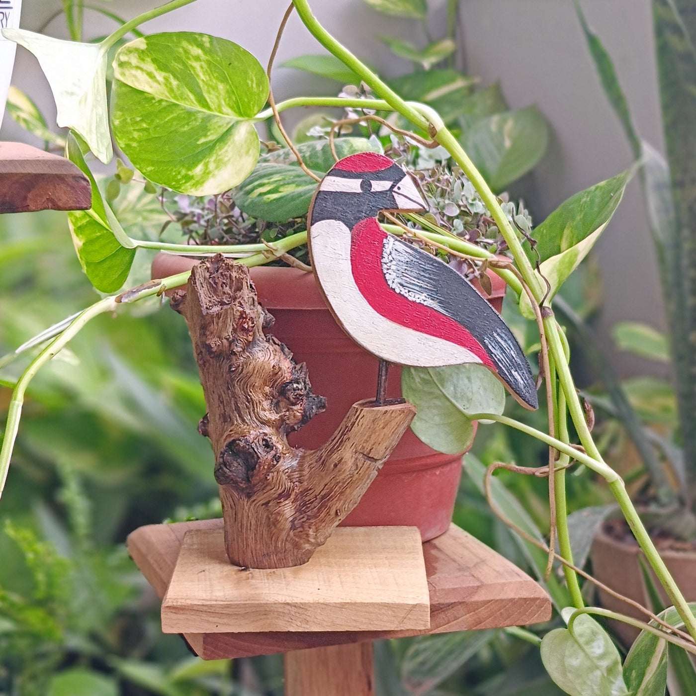 Chinhhari Madai red black bird garden decor