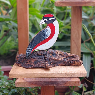 Chinhhari Madai red black white bird garden decor