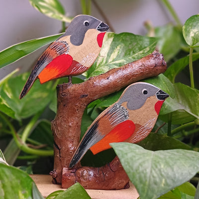 Chinhhari Madai grey red bird garden decor