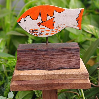 Chinhhari Madai orange white Fish garden decor