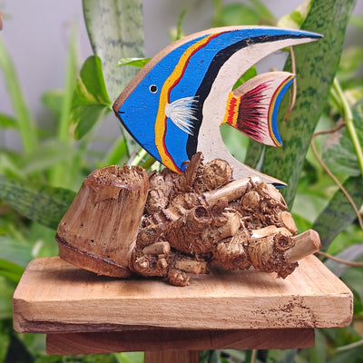 Chinhhari Madai blue Fish with coral garden decor