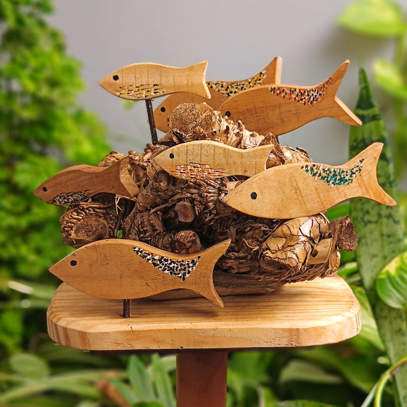 Chinhhari Madai Fishes with coral garden decor